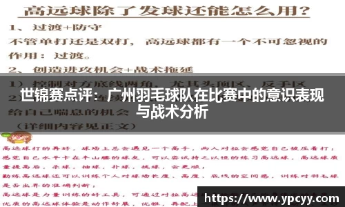 完美体育官网