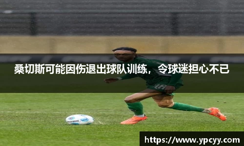 完美体育官网