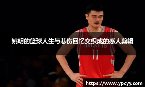 完美体育在线入口官网