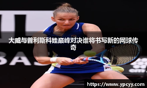 完美体育在线入口官网