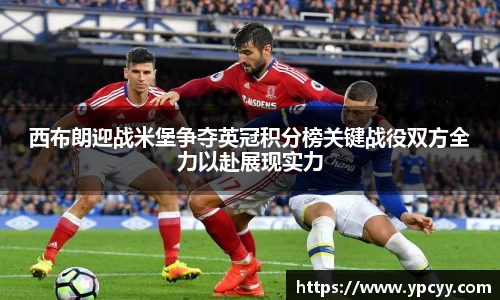 完美体育在线入口官网
