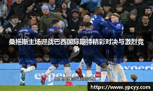 完美体育在线入口官网