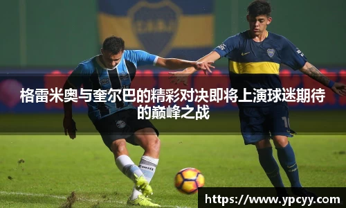 完美体育官网