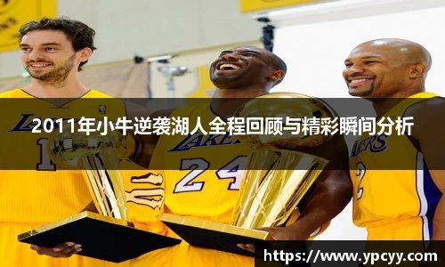 完美体育app下载安装