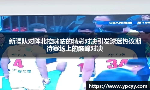 完美体育在线入口官网