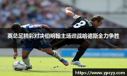 完美体育app下载安装