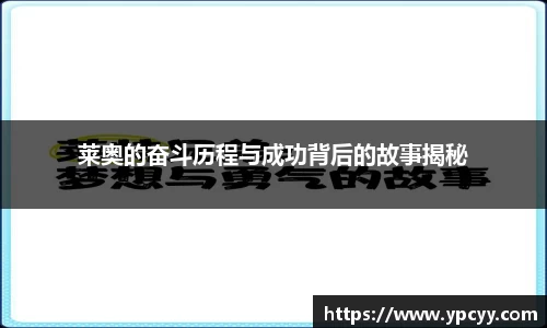 完美体育在线入口官网