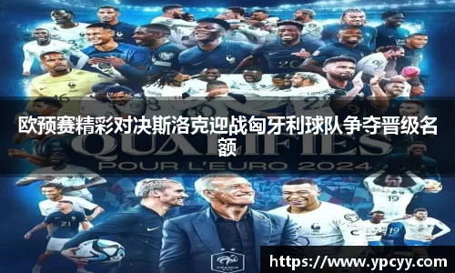 欧预赛精彩对决斯洛克迎战匈牙利球队争夺晋级名额