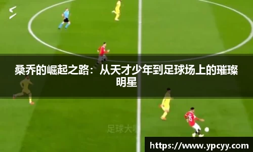 桑乔的崛起之路：从天才少年到足球场上的璀璨明星