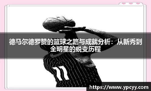 完美体育官网