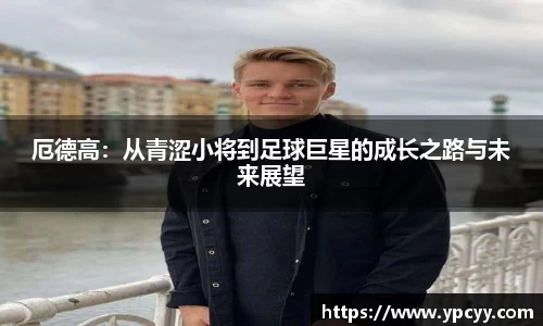 完美体育