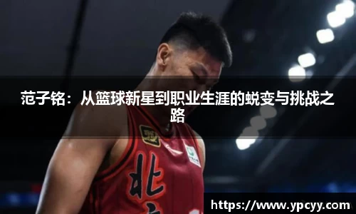 范子铭：从篮球新星到职业生涯的蜕变与挑战之路