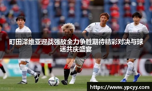 完美体育在线入口官网