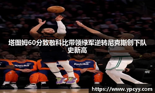 完美体育官网